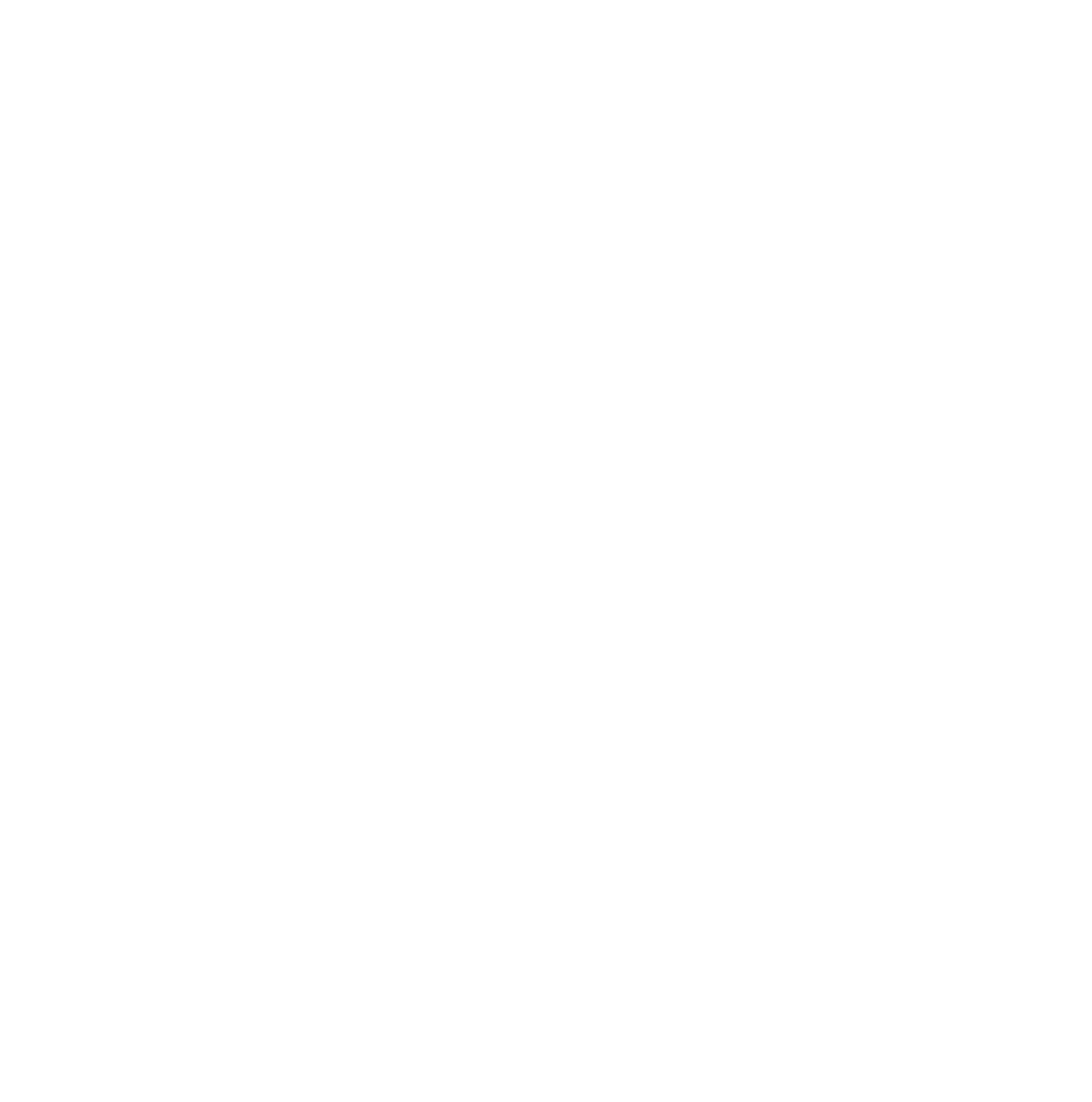 Victorinox